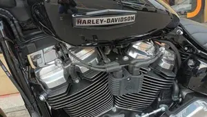 Harley-Davidson Street Bob 117 (2025 - 26)  (5)