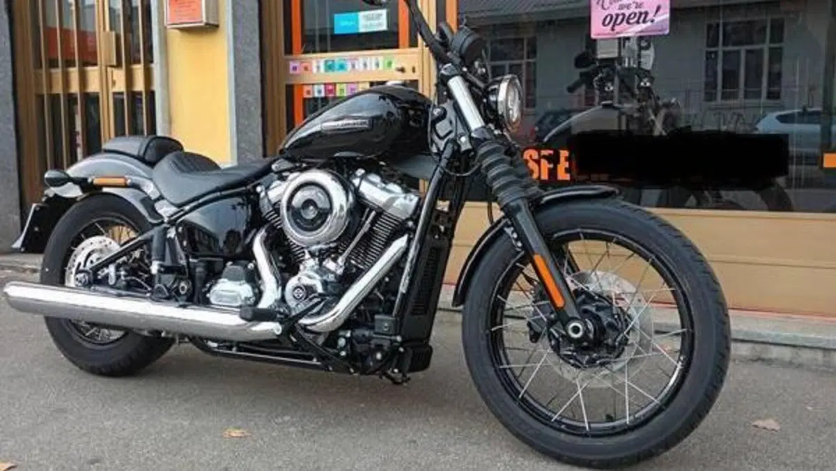Harley-Davidson Street Bob 117 (2025 - 26)  (11)
