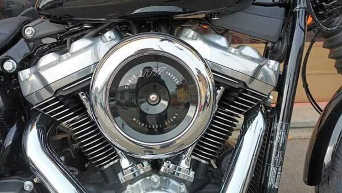 Harley-Davidson Street Bob 117 (2025 - 26)  (12)