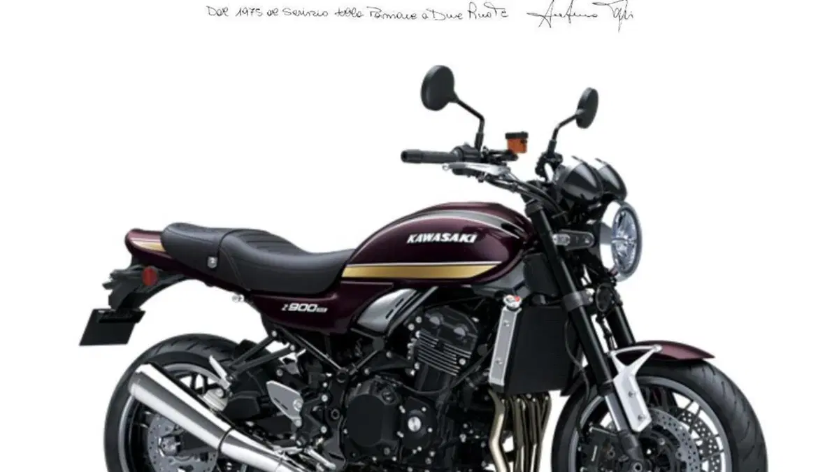 Kawasaki Z 900 RS (2022 - 25) 