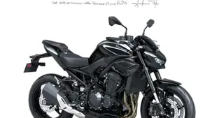 Kawasaki Z 900 (2025 - 26) 