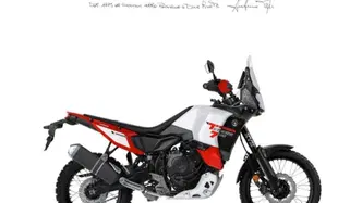 Yamaha Ténéré 700 World Raid (2022 - 25) nuova