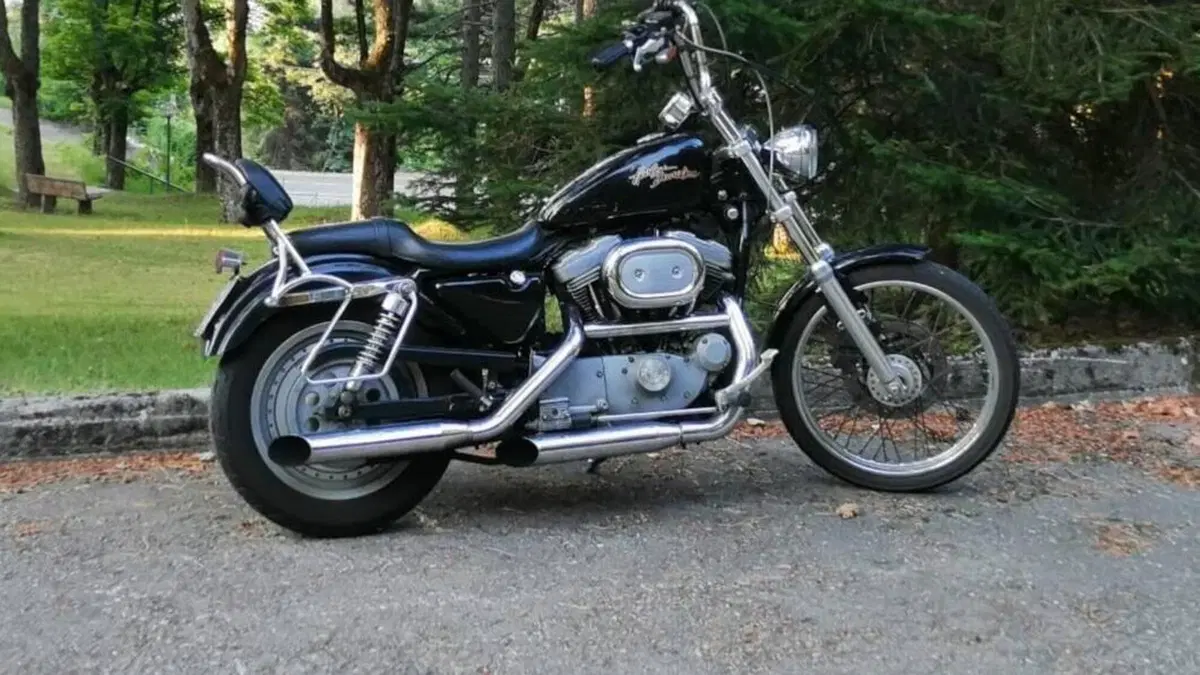 Harley-Davidson 883 Custom (2001 - 05) - XL 53C  (2)