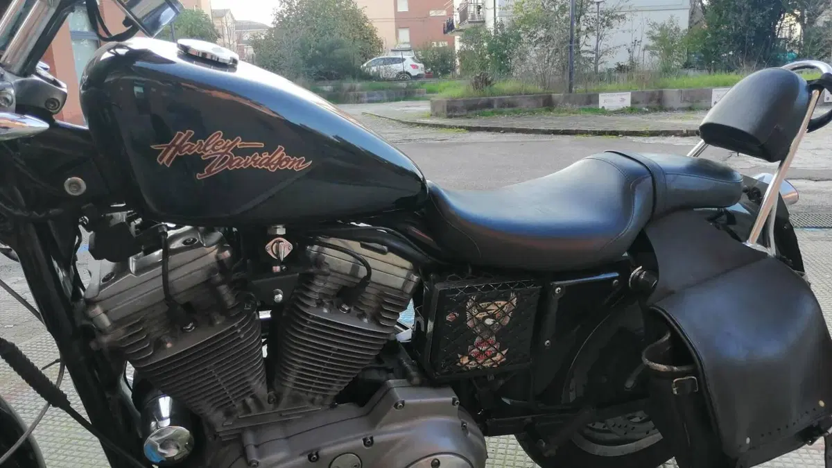 Harley-Davidson 883 Custom (2001 - 05) - XL 53C  (3)