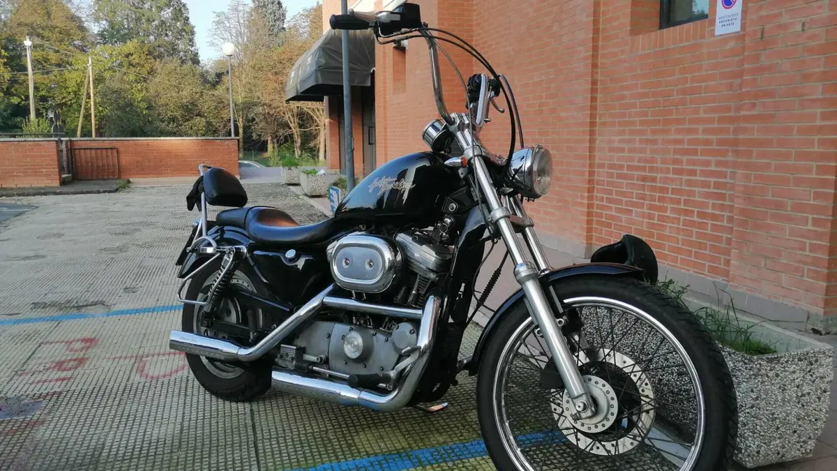 Harley-Davidson 883 Custom (2001 - 05) - XL 53C  (6)