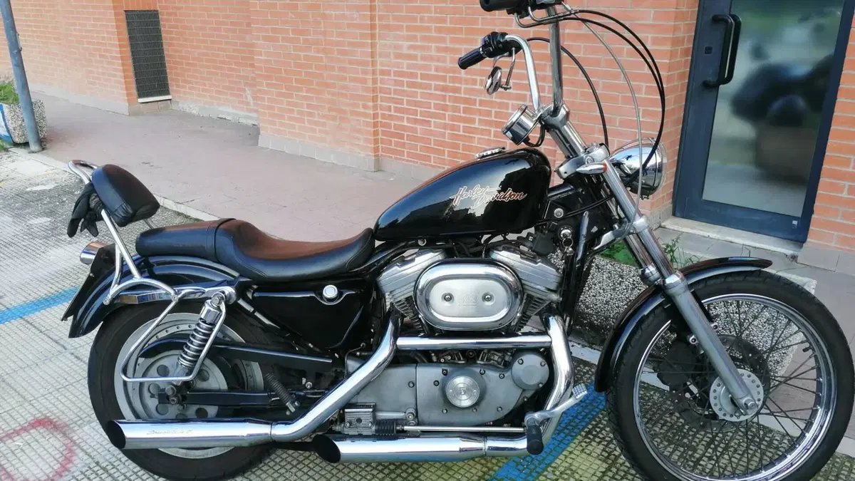 Harley-Davidson 883 Custom (2001 - 05) - XL 53C  (7)