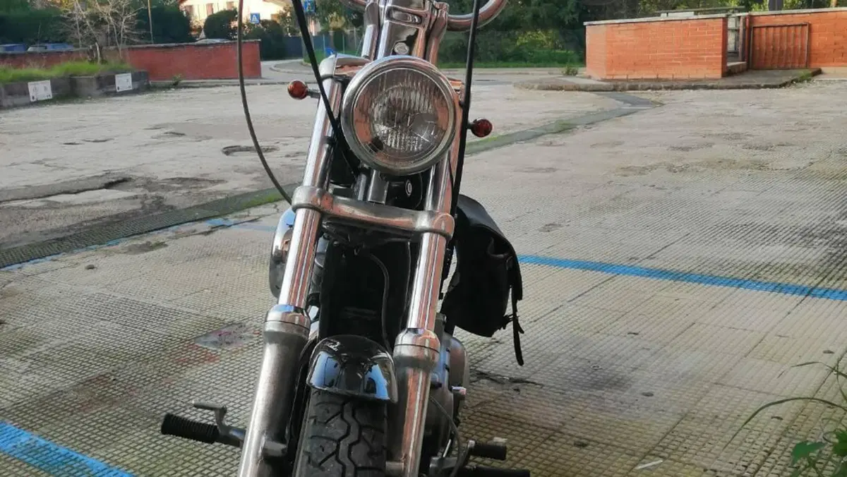 Harley-Davidson 883 Custom (2001 - 05) - XL 53C  (9)