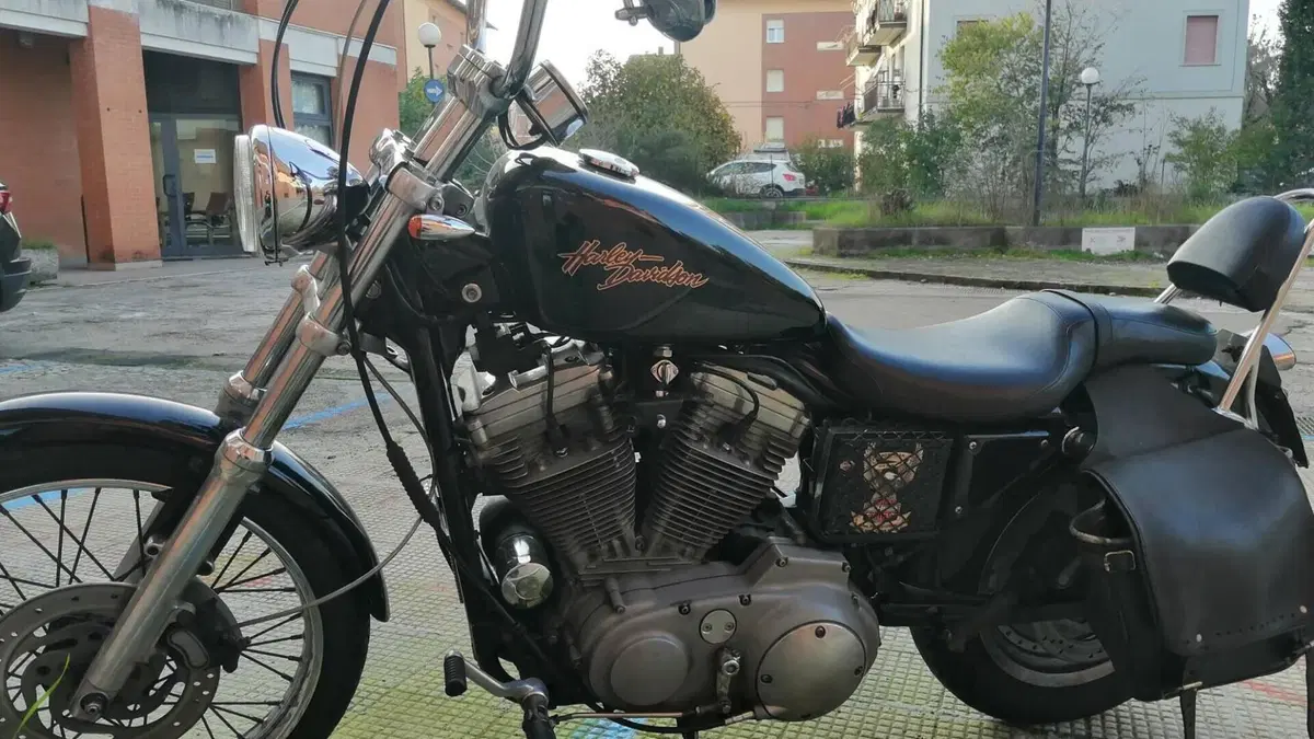 Harley-Davidson 883 Custom (2001 - 05) - XL 53C  (10)