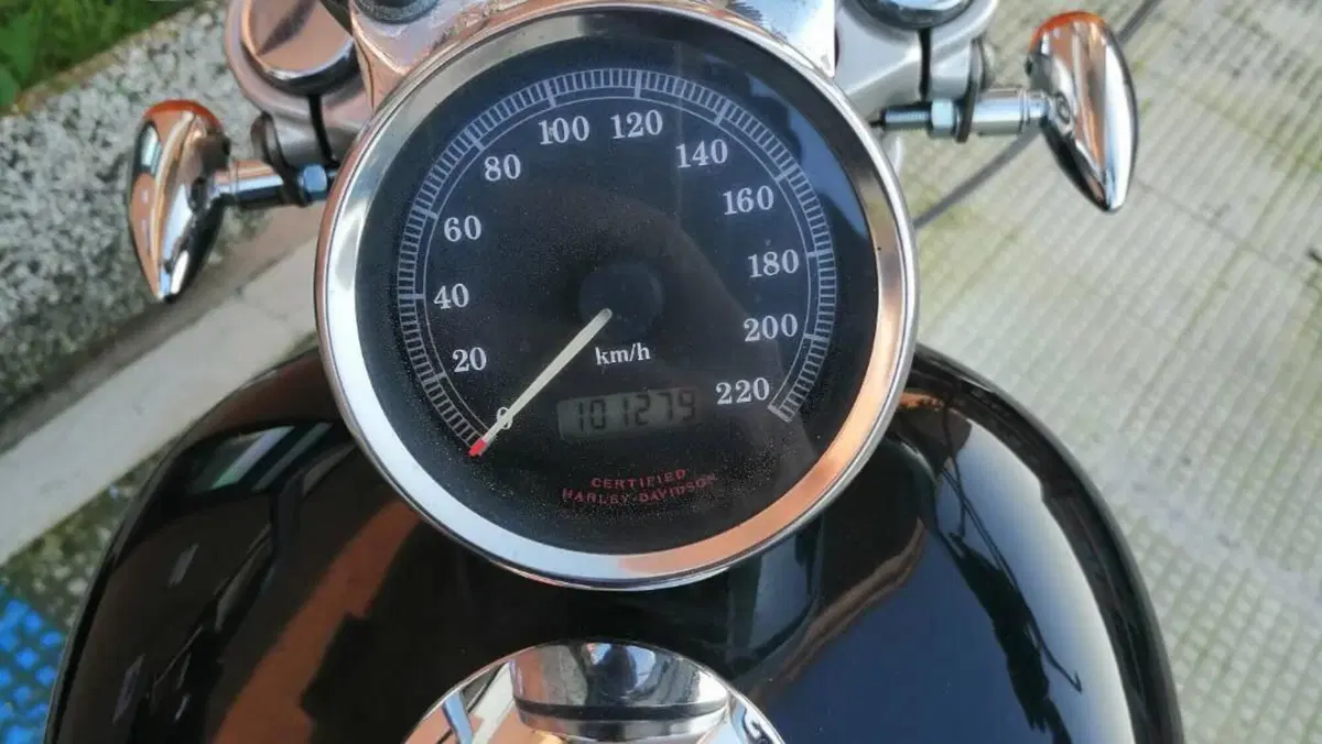 Harley-Davidson 883 Custom (2001 - 05) - XL 53C  (11)
