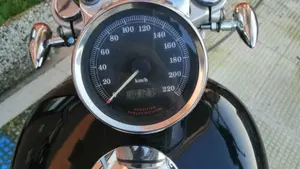 Harley-Davidson 883 Custom (2001 - 05) - XL 53C  (11)