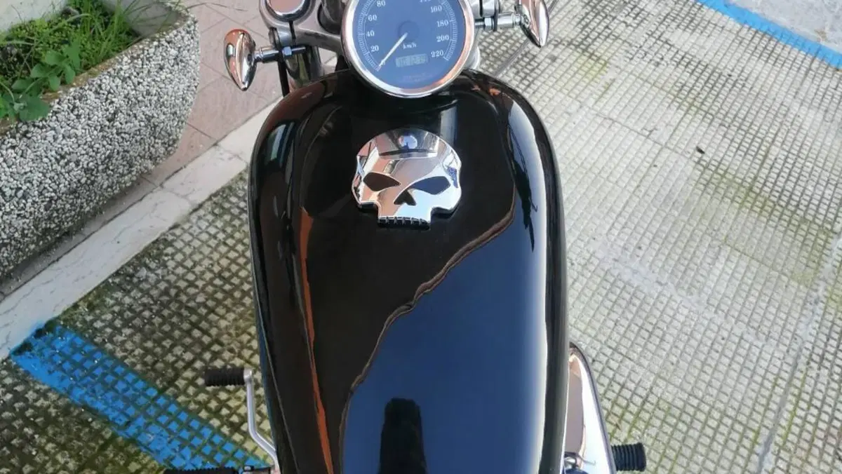 Harley-Davidson 883 Custom (2001 - 05) - XL 53C  (12)