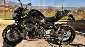 Kawasaki Z 650 Performance (2021 - 24) usata