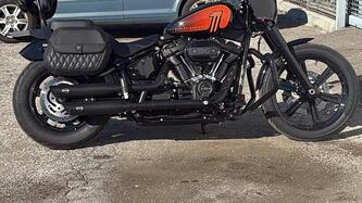 Harley-Davidson Softail Standard (2020) - FXST usata