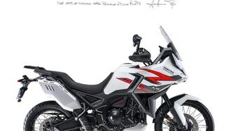 Zontes ZT703-F (2025) usata