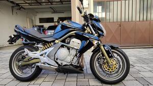 Kawasaki ER-6N (2005 - 08) 