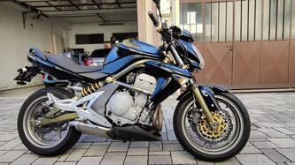 Kawasaki ER-6N (2005 - 08) usata