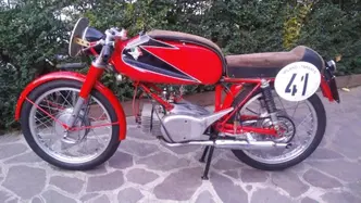 Rumi junior epoca