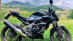 Kawasaki Z 250 SL ABS (2015 - 16) 