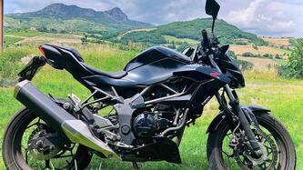 Kawasaki Z 250 SL ABS (2015 - 16) usata