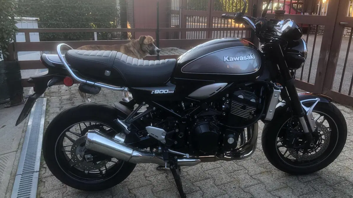 Kawasaki Z 900 RS (2022 - 25)  (3)
