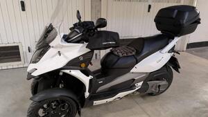 Quadro QV3 350 (2018 - 19) 