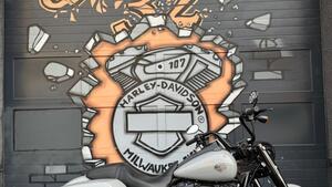 Harley-Davidson Road King Special (2021 - 25) 