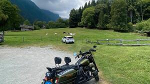 Harley-Davidson Road King Special (2021 - 25) 