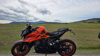 KTM 990 Duke (2024 - 26) usata