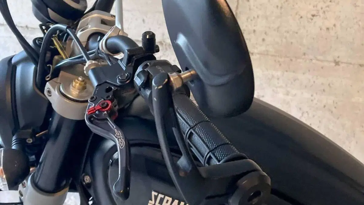 Ducati Scrambler 800 Desert Sled (2017 - 20)  (6)