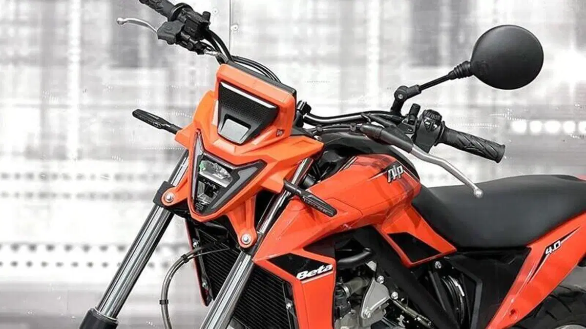 Betamotor Alp 4.0 (2024 - 26)  (4)