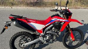 Honda CRF 300 L (2021 - 24) 