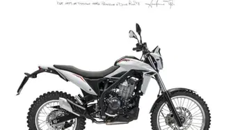 Betamotor Alp X (2024 - 26)