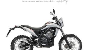 Betamotor Alp 4.0 (2024 - 25) 