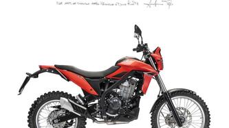 Betamotor Alp 4.0 (2024 - 25) nuova