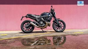 Ducati Scrambler 800 Icon (2017 - 20) 
