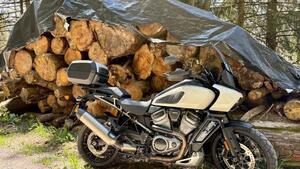 Harley-Davidson Pan America 1250 Special (2020 - 25) 