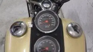 Harley-Davidson   (3)