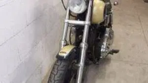 Harley-Davidson   (4)