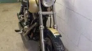 Harley-Davidson   (9)