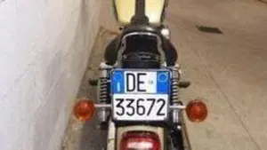 Harley-Davidson   (10)