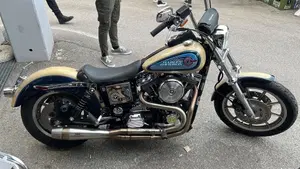 Harley-Davidson   (12)