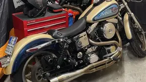 Harley-Davidson   (13)