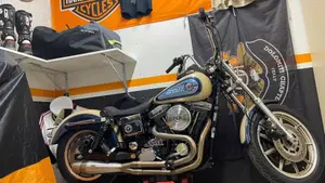 Harley-Davidson   (14)