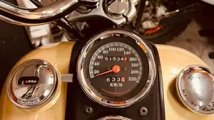 Harley-Davidson   (16)