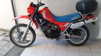 Morini 