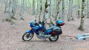 Honda Transalp XL 650V (2000 - 04) 