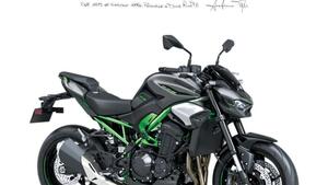 Kawasaki Z 900 A2 (2025 - 26) 