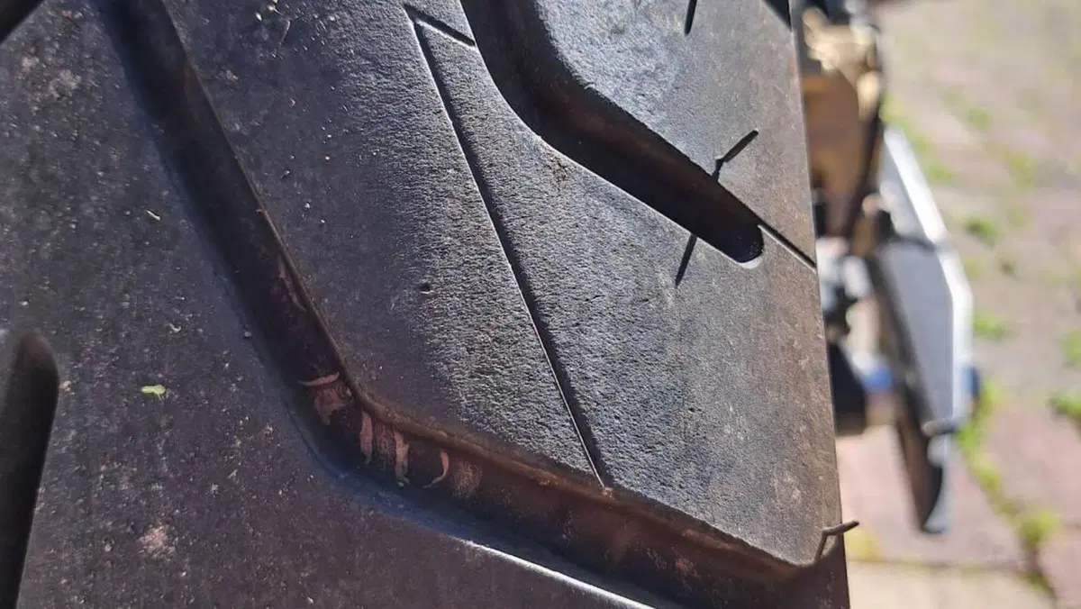 Fantic Motor Caballero 500 Scrambler (2021 - 23)  (7)