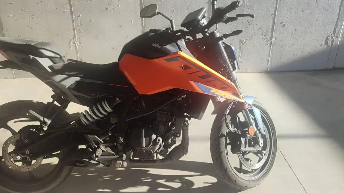 KTM 125 Duke (2024 - 25) 
