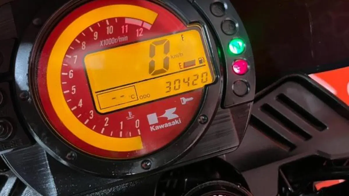 Kawasaki Z 1000 (2003 - 06)  (5)